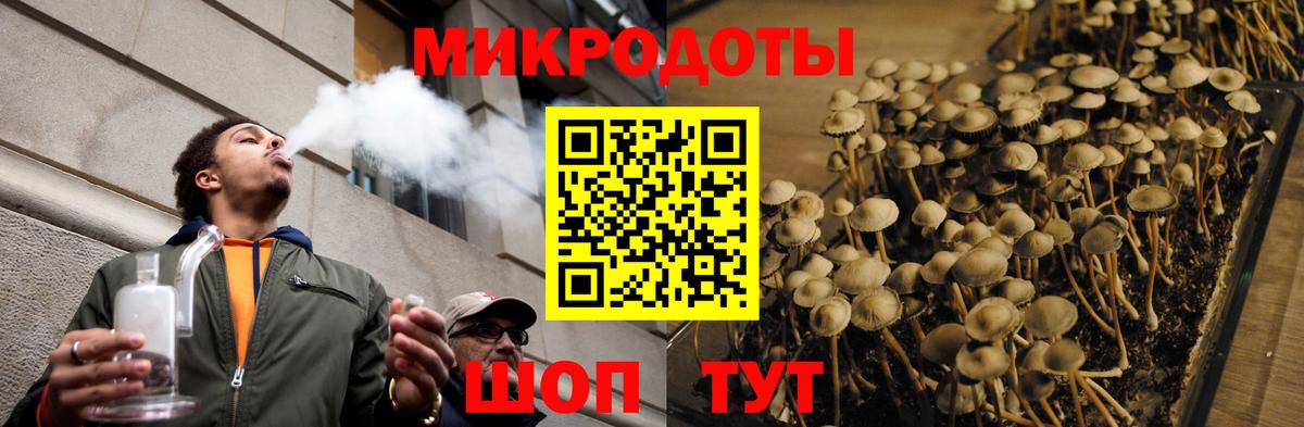 Псилоцибиновые грибы мицелий  Вход с VPN  Горно-Алтайск 