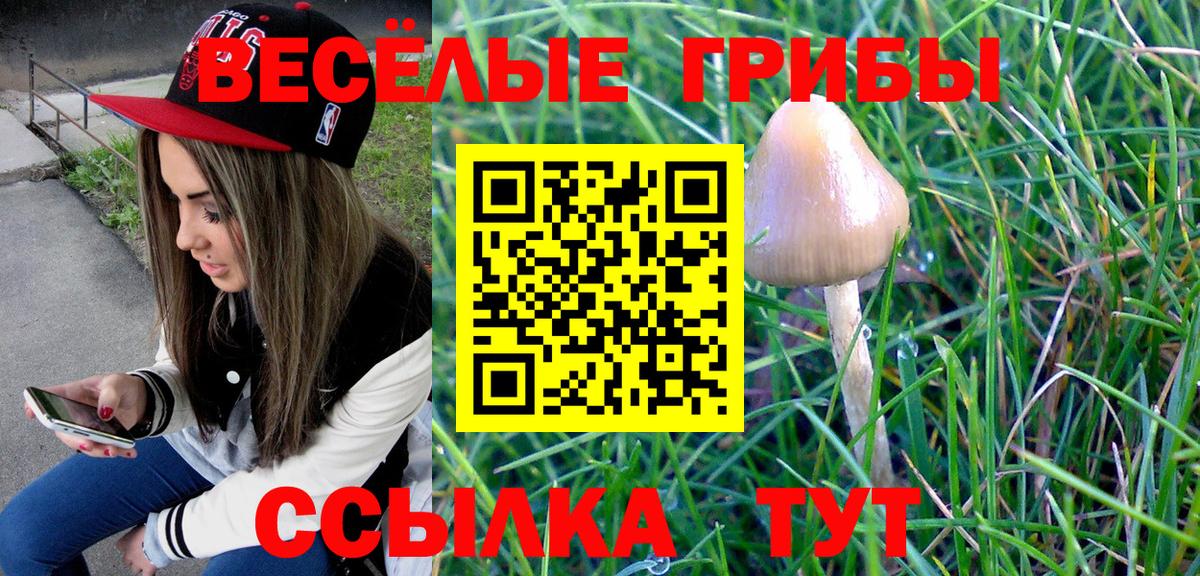 Псилоцибиновые грибы GOLDEN TEACHER Горно-Алтайск