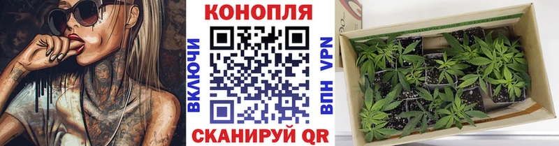 Бошки Шишки Ganja  Горно-Алтайск 